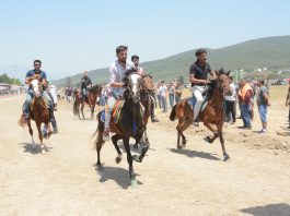 Türkiye’nin dört bir yanından getirilen rahvan atların yarışacağı Torbalı Geleneksel Rahvan At Yarışı, Pazar günü Bayındır Yolu üzerindeki Fetrek Çayı mevkiinde gerçekleşecek.