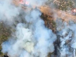 İzmir’in Foça ilçesinde bir arıcının tütsü yakması sonucu çıkan yangın, ormanlık alana sıçradı. Ekiplerin havadan ve karadan müdahalesiyle alevler kısa sürede kontrol altına alındı.
