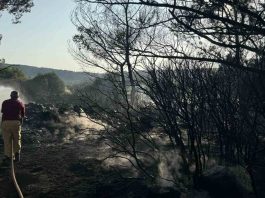 izmir’in Urla ilçesinde ormanlık alanda mangal yakan bir kişi, iki dönümlük arazinin ve birçok kızılçam ağacının yanmasına sebep oldu. Şahıs tutuklanarak cezaevine gönderildi.
